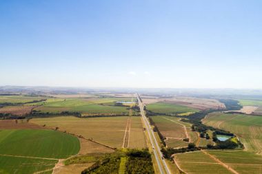 Şeker kamışı alan Brezilya