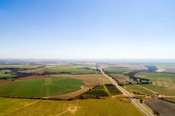 Suikerriet veld in Brazilië — Stockfoto