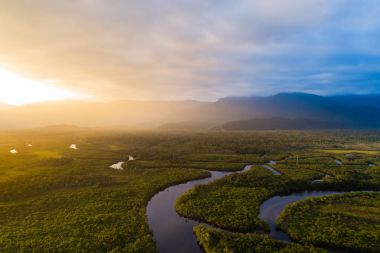 Amazon Rainforest in Brazil clipart