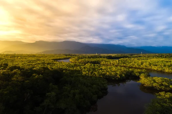 Тропічних лісів Амазонки в Бразилії — стокове фото