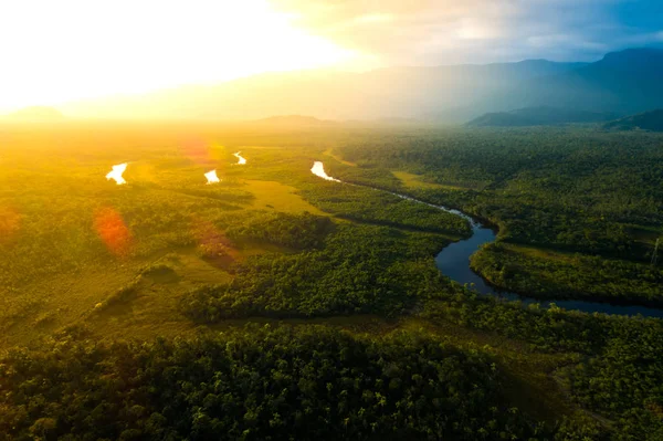 Amazonský deštný prales v Brazílii — Stock fotografie
