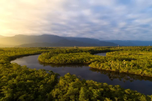 Floresta Amazônica no Brasil — Fotografia de Stock