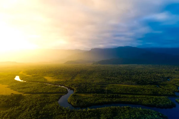 Amazzonia foresta pluviale in Brasile — Foto Stock