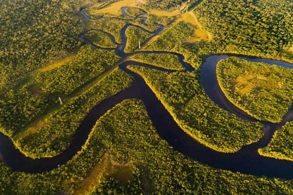 Amazzonia foresta pluviale in Brasile — Foto Stock