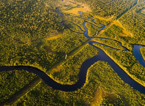 Amazzonia foresta pluviale in Brasile — Foto Stock