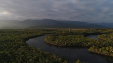 Brezilya'da Amazon yağmur ormanı hava