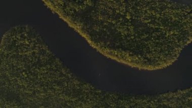 Brezilya'da Amazon yağmur ormanı hava