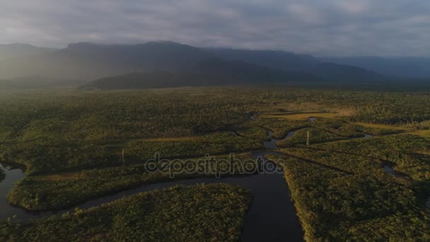 Luchtfoto Amazon Rainforest Brazilië — Stockvideo