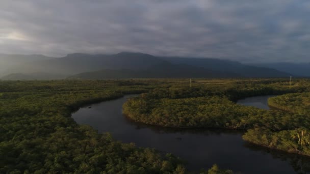 Luchtfoto van het Amazoneregenwoud in Brazilië — Stockvideo