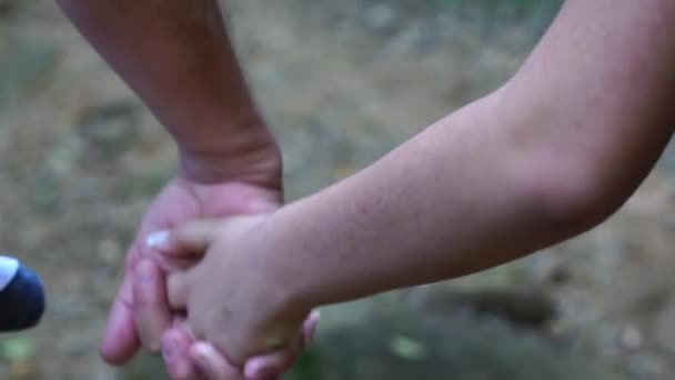 Padre e hija tomados de la mano — Vídeo de stock