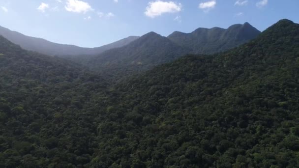 Voando sobre montanhas e floresta — Vídeo de Stock