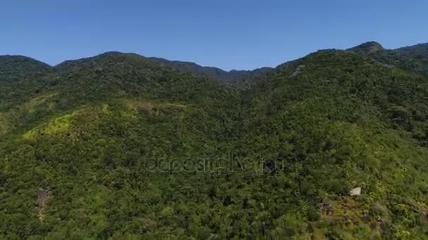 Voando sobre montanhas e floresta — Vídeo de Stock