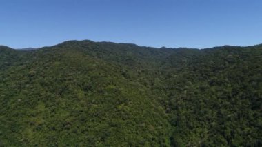 Dağların ve ormanın üzerinden uçarak