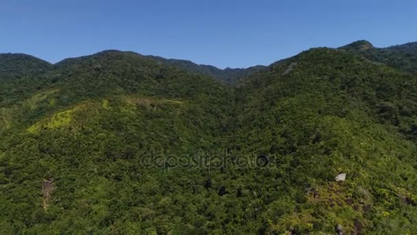 Voando sobre montanhas e floresta — Vídeo de Stock