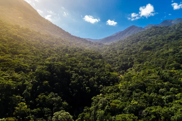 Montañas y Bosques en América del Sur — Foto de Stock