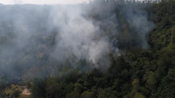 Waldbrand - brennende Baumantenne — Stockvideo