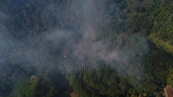 Forest Fire - Burning Tree antenne — Stockvideo