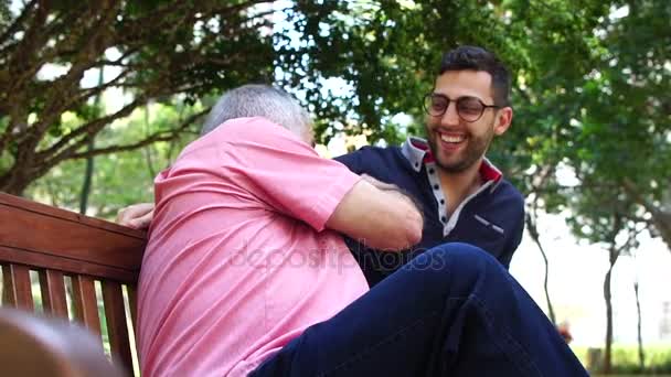 Father and Son (in wheelchair) Talking and Having Fun in the Park — Stock Video