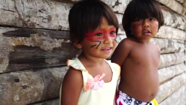 Lindo niño brasileño nativo de la tribu Tupi Guarani, Brasil — Vídeos de Stock
