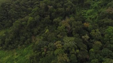 Orman manzara ve bulutlu bir günde dağlarda