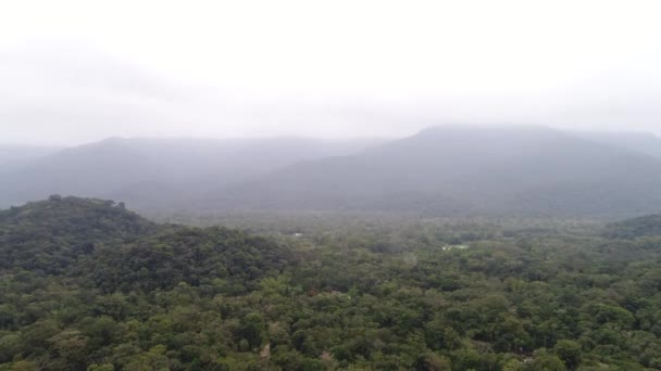 Paisagem Florestal e Montanhas em um dia Nublado no Brasil — Vídeo de Stock