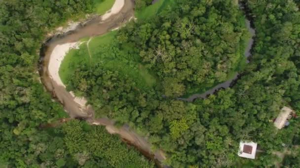 Εναέρια άποψη του τροπικού δάσους του Αμαζονίου, Νότια Αμερική — Αρχείο Βίντεο