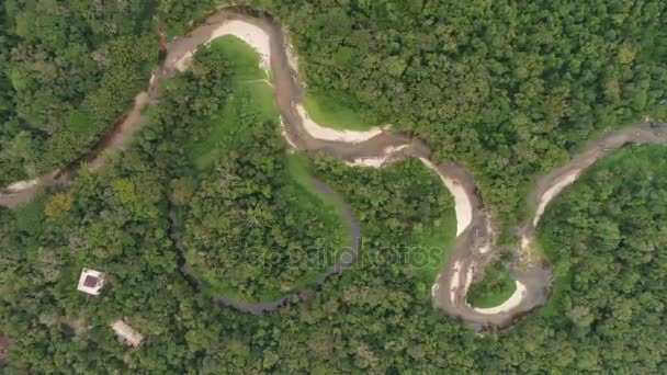 Luftaufnahme des Amazonas-Regenwaldes, Südamerika — Stockvideo