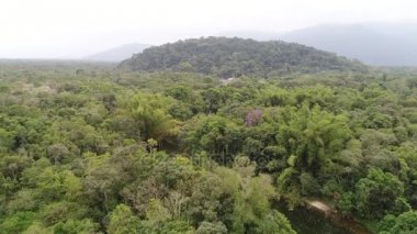 Amazon yağmur ormanı, Güney Amerika havadan görünümü