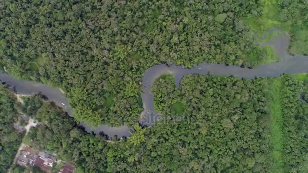 Luchtfoto van het Amazone-regenwoud, Zuid-Amerika — Stockvideo