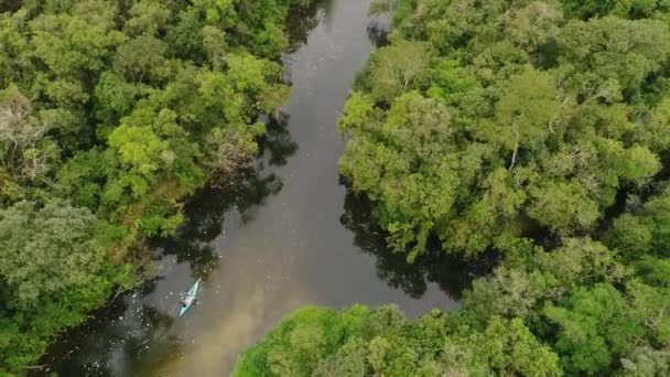 Вид с воздуха на тропический лес Амазонки, Южная Америка — стоковое видео