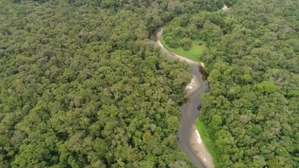 Amazon yağmur ormanı, Güney Amerika havadan görünümü — Stok video