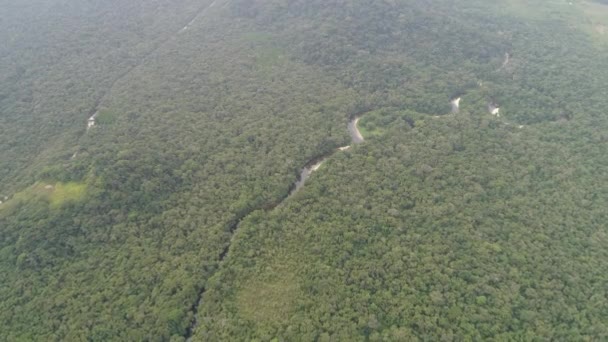 Widok z lotu ptaka z Amazonii, Ameryka Południowa — Wideo stockowe
