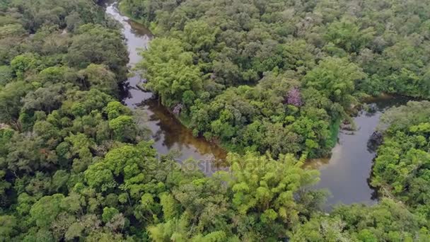 Luchtfoto van het Amazone-regenwoud, Zuid-Amerika — Stockvideo