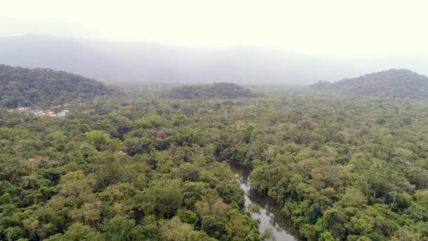 Вид з тропічних лісів Амазонки, Південна Америка — стокове відео