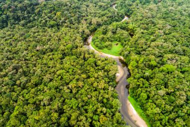 Amazon yağmur ormanı, Güney Amerika havadan görünümü