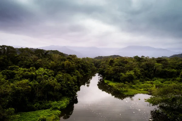 Pemandangan udara Amazon Rainforest, Amerika Selatan — Stok Foto
