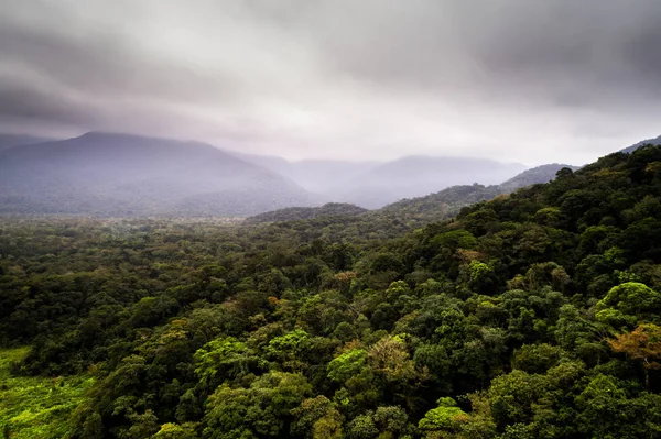 Orman manzara ve bulutlu bir günde dağlarda Brezilya