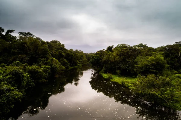 Amazon yağmur ormanı, Güney Amerika havadan görünümü — Stok fotoğraf
