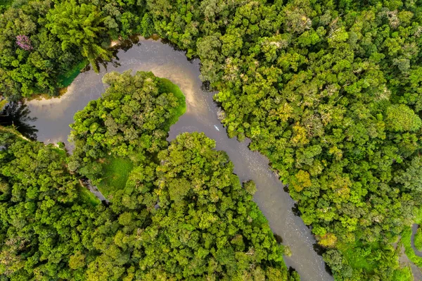 Pemandangan udara Amazon Rainforest, Amerika Selatan — Stok Foto