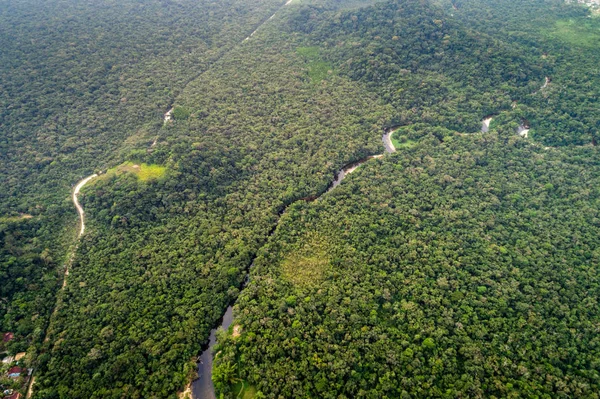 Veduta aerea della foresta pluviale amazzonica, Sud America — Foto Stock