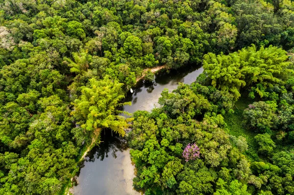 Vista aérea de la selva amazónica, América del Sur — Foto de Stock