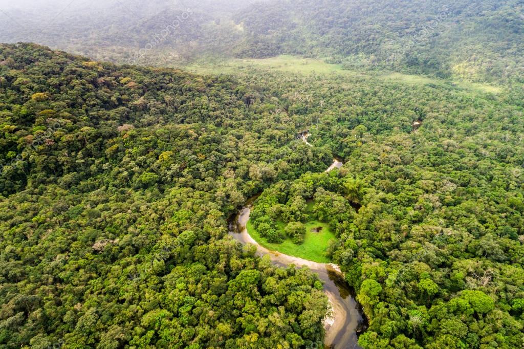 Aerial View Of Amazon Rainforest South America — Stock Photo