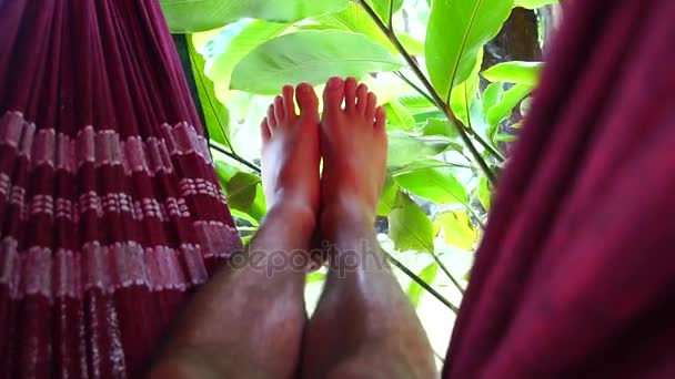 Muž relaxační na houpací síť — Stock video