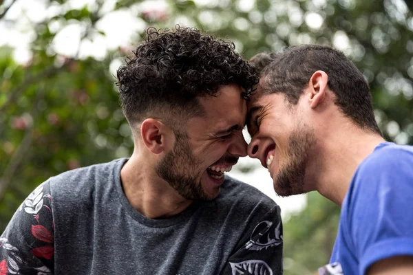 Sevgi Bir Eşcinsel Çift — Stok fotoğraf