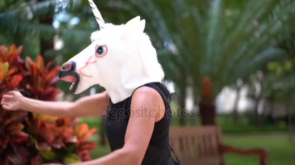 Unicorn Dansa Och Roligt — Stockvideo
