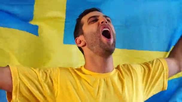 フラグと祝うスウェーデンのファン — ストック動画