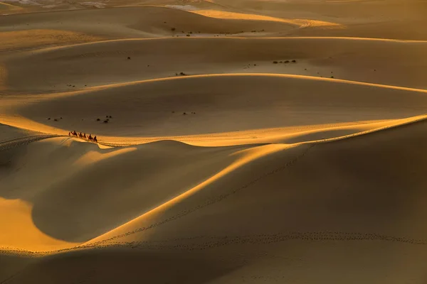 Vista Caravana Desierto Anochecer Dunhuang China —  Fotos de Stock