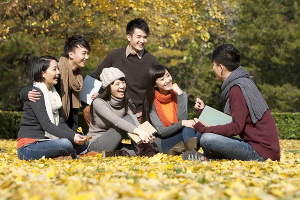 Κινέζοι Φοιτητές Κάθονται Βιβλία Και Μιλάμε Φθινοπωρινό Πάρκο — Φωτογραφία Αρχείου