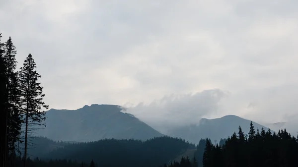 De mening van de berg van Misty morning — Stockfoto