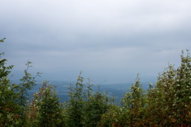 Misty sabah Dağ Manzaralı
